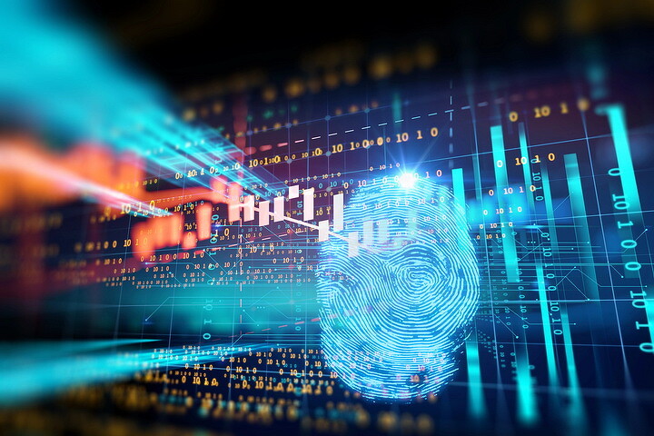 Системы распознавания и анализа данных 2025